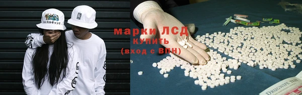 ГАЛЛЮЦИНОГЕННЫЕ ГРИБЫ Беломорск