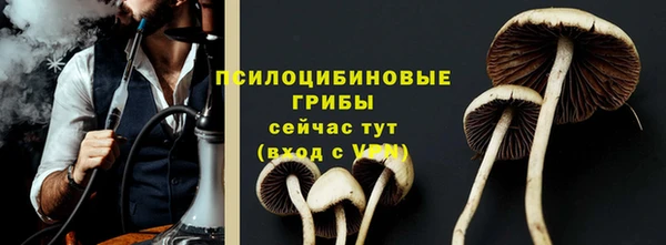 ГАЛЛЮЦИНОГЕННЫЕ ГРИБЫ Беломорск