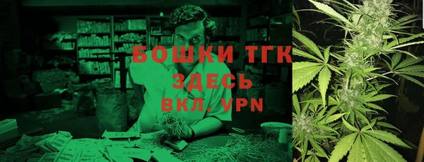 дживик Белокуриха