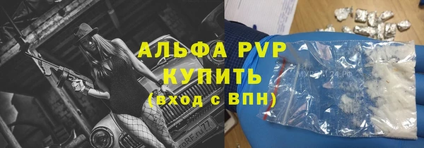 шишки Сясьстрой