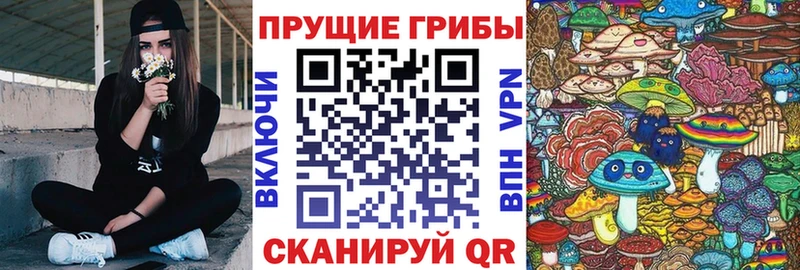 KRAKEN маркетплейс  Котельнич  Псилоцибиновые грибы Cubensis  цены  